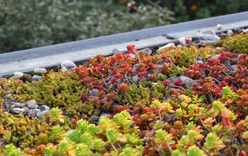 the cost of Coed Mawr green roof installation