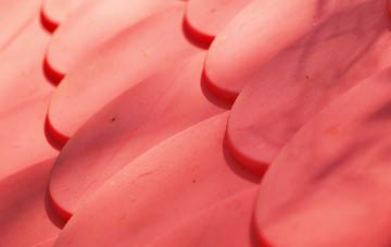 Coed Mawr plastic roof costs